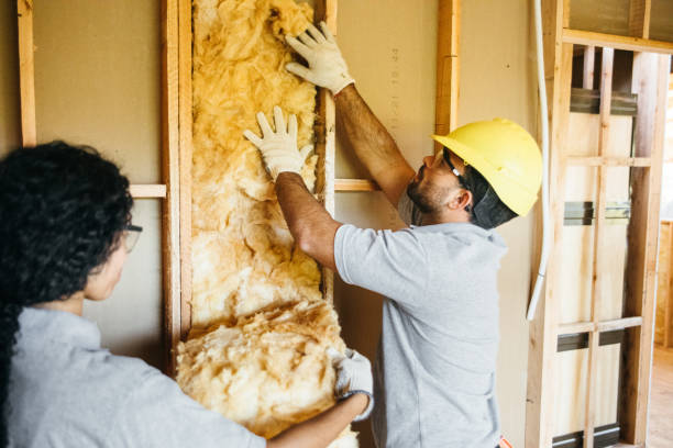 Insulation Repair Services in Kingsford, MI